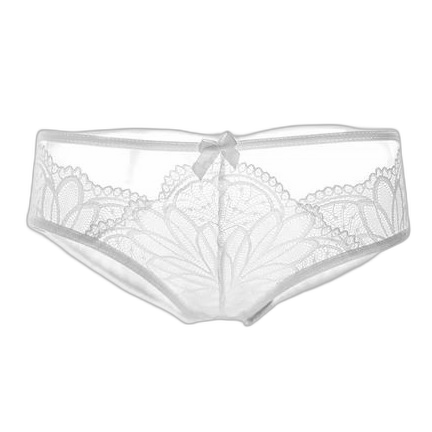 French sexy transparent temptation lace women's low-waist briefs underwear thong T-pants cross-border supply supply