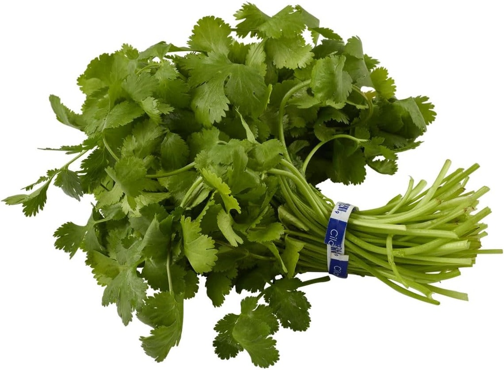 Cilantro, 1 Each