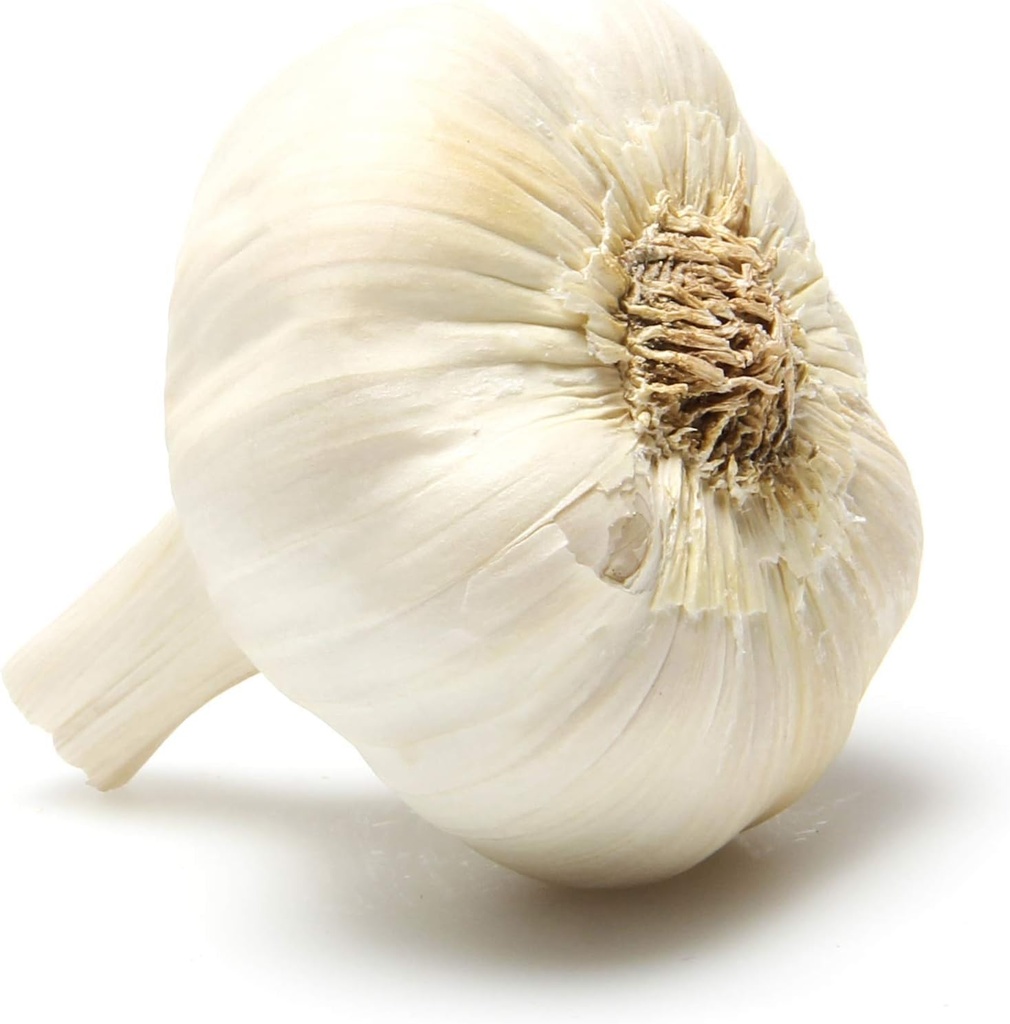 Organic Garlic, 1 Each