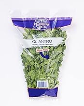 Cilantro, 1 Bunch (One Size)
