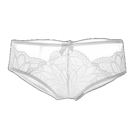 French sexy transparent temptation lace women's low-waist briefs underwear thong T-pants cross-border supply supply (One Size)