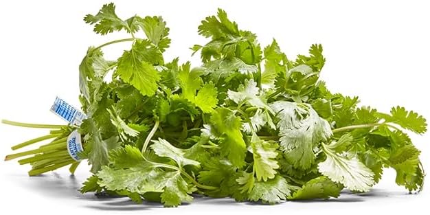Herb Cilantro Organic, 1 Bunch (One Size)