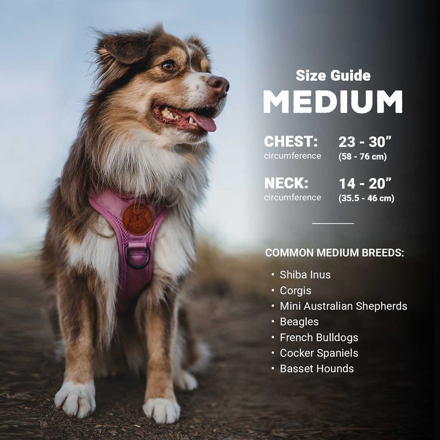 Wilderdog Outdoor Dog Harness (One Size)